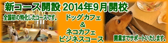 img_20140704-015112.jpg