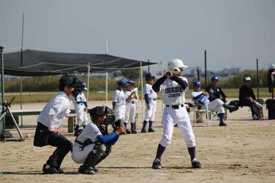 img_20131118-154314.jpg