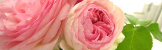 img_20121105-001059.jpg