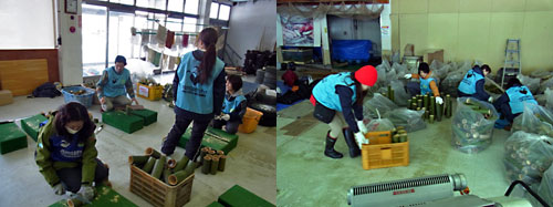 img_20120319-104830.jpg