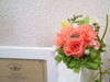 img_20170310-143946.jpg