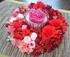 img_20170310-144213.jpg