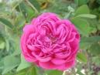 img_20170801-144309.png