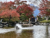 img_20231114-165002.jpg