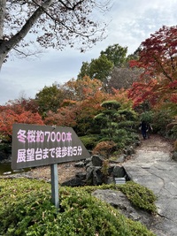img_20231114-165152.jpg