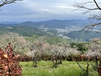 img_20231114-165611.jpg