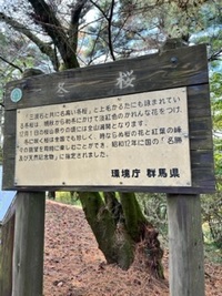 img_20231114-165729.jpg