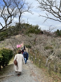 img_20231114-180045.jpg