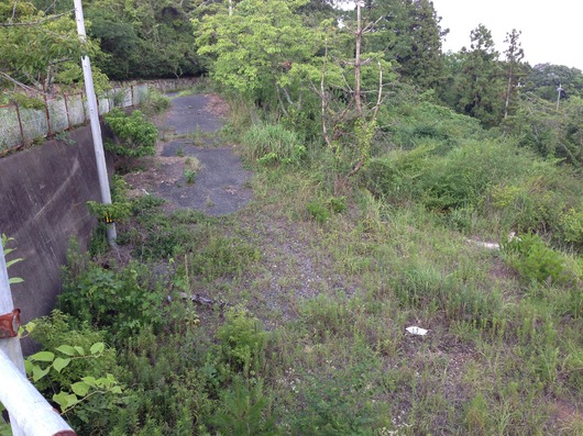 img_20130718-221003.jpg