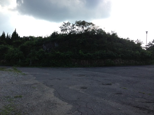 img_20130718-221419.jpg