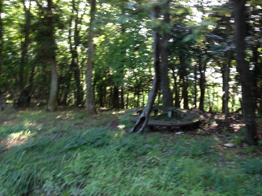 img_20130719-002512.jpg