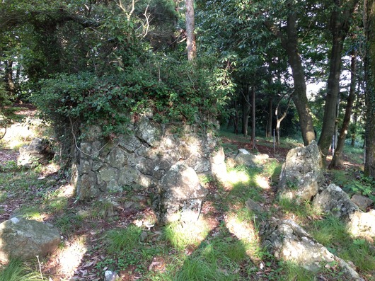 img_20130719-002957.jpg