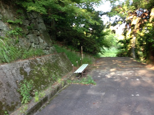 img_20130719-003347.jpg