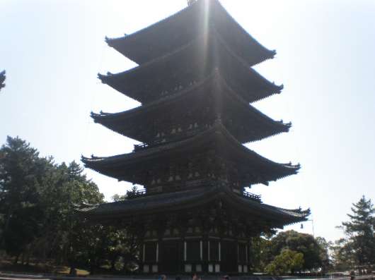 img_20120331-130326.jpg