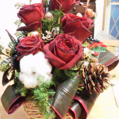 img_20121219-083502.jpg
