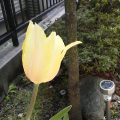 img_20130408-082205.jpg