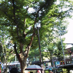 img_20130722-120604.jpg