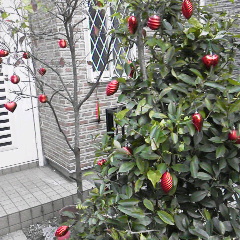 img_20141110-082754.jpg