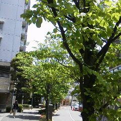 img_20150518-081736.jpg