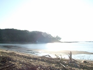 img_20140227-003530.jpg