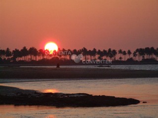 img_20140227-003615.jpg