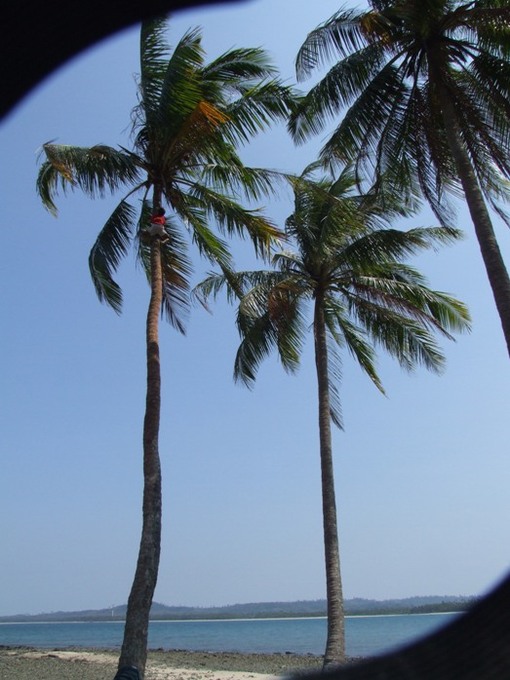 img_20140227-003856.jpg