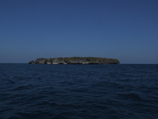 img_20140227-004126.jpg