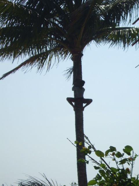 img_20141025-175412.jpg
