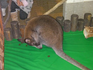 img_20111120-200555.jpg