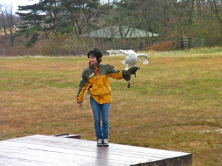 img_20111120-203931.jpg