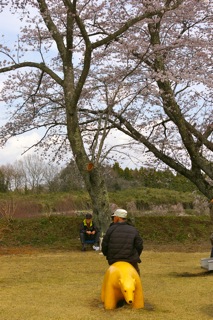 img_20120419-204038.jpg