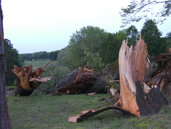 img_20120507-192411.png