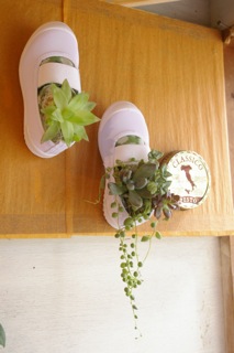 img_20120805-094205.jpg