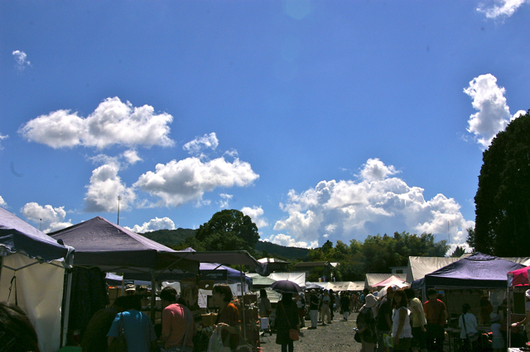 img_20140915-195546.jpg