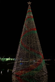img_20151215-215150.jpg
