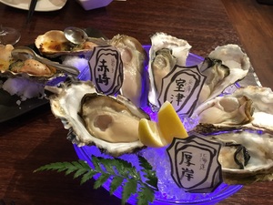 img_20160619-200627.jpg