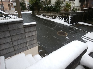 img_20180206-181115.jpg