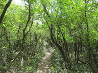 img_20180506-072504.jpg