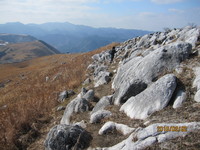 img_20190202-235534.jpg