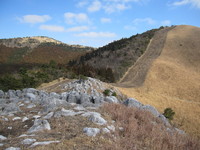 img_20190202-235654.jpg