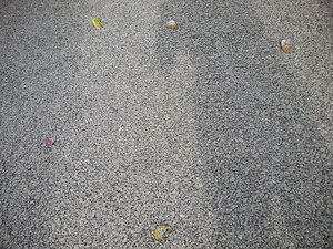 img_20190903-085905.jpg