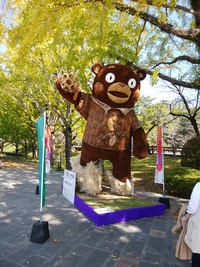 img_20191107-083914.jpg