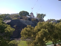 img_20191107-084005.jpg