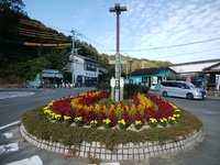 img_20191118-043058.jpg