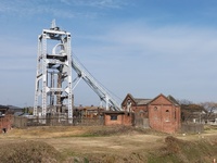 img_20220118-082319.jpg