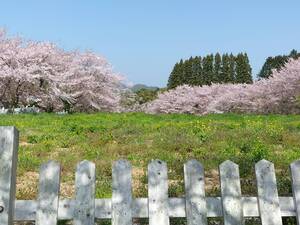img_20230413-081252.jpg