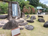 img_20231113-170328.jpg