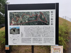 img_20251117-122651.jpg