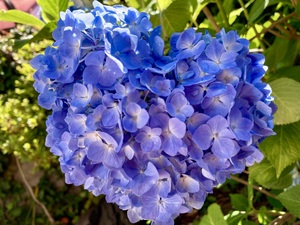 img_20250604-083743.jpg
