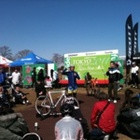 --- 03月 --- --- 03月 ---